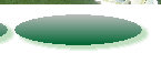 a1website0609grnyel002008.jpg