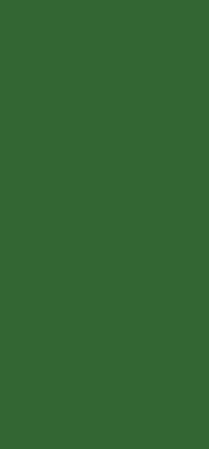 a1website0609grnyel002024.gif