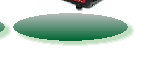 a1website0609grnyel003009.jpg