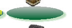 a1website0609grnyel003011.jpg