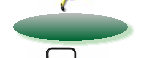 a1website0609grnyel003012.jpg