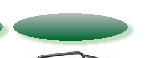 a1website0609grnyel003014.jpg