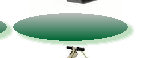 a1website0609grnyel003017.jpg
